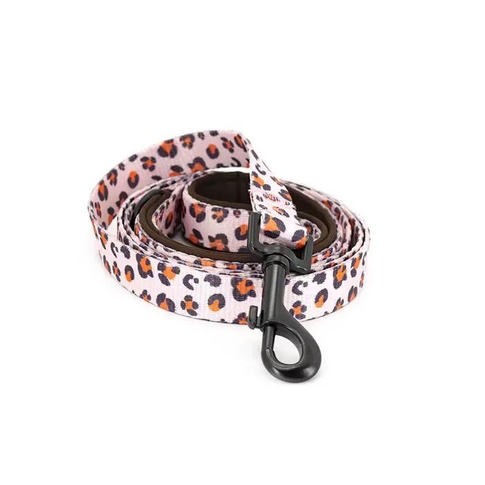 Collier réglable pour chien Collarlogo