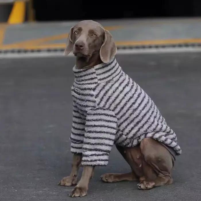 Pull pour chien 3XL pour grands chiens