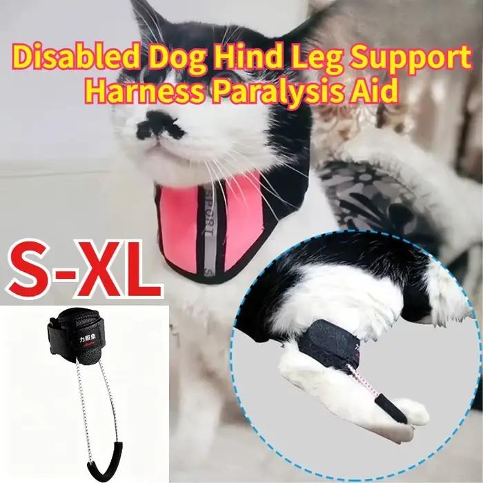 Harnais de soutien pour pattes arrière de chien handicapé