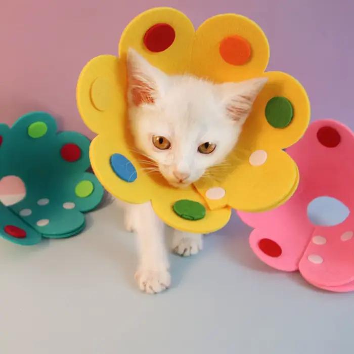 Cône de cou pour animaux de compagnie anti-morsure et anti-léchage: collier de protection pour chiens et chats