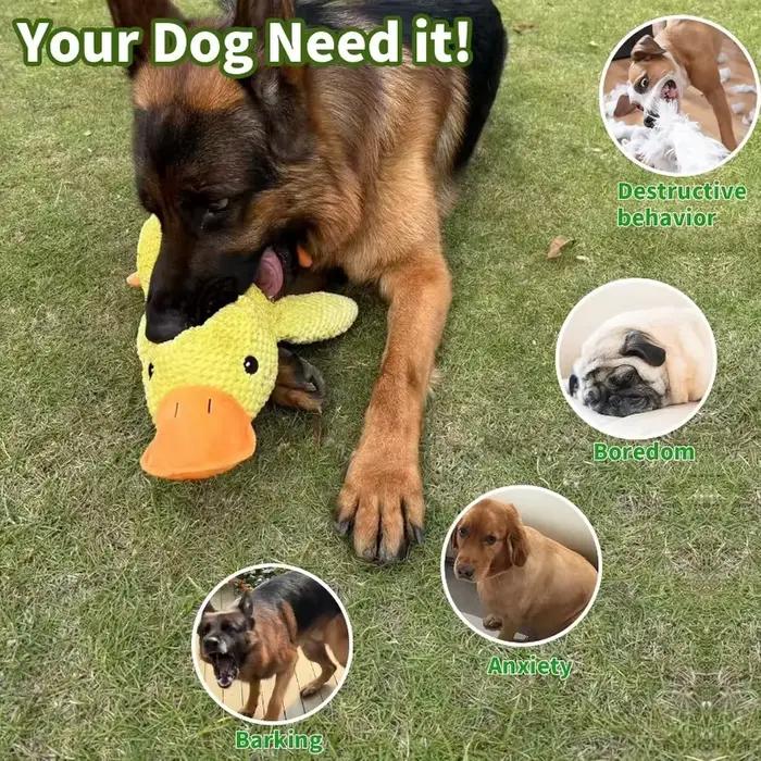 Jouet pour chien en peluche résistant aux morsures