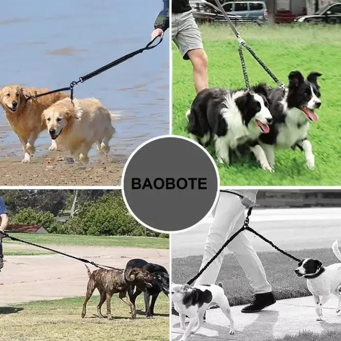 Laisse pour chien, corde pour chien à double extrémité