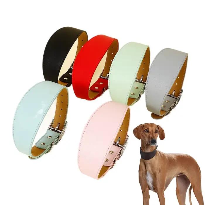 Collier pour animaux de compagnie en PU