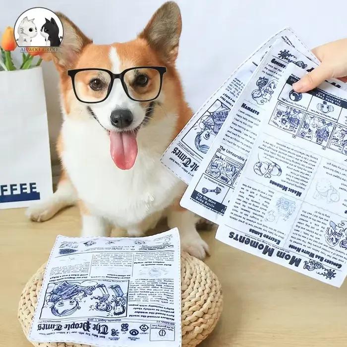 Jouets pour chiens amusants résistants aux morsures