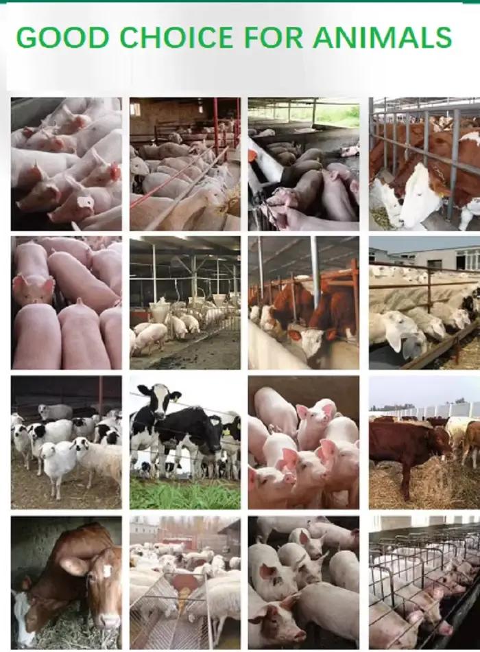 Vermifuge vétérinaire interne et externe