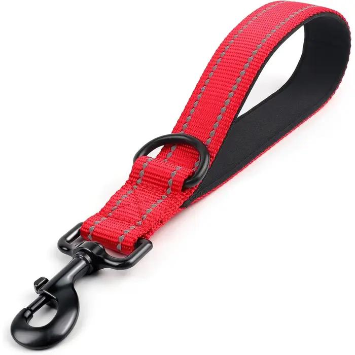 Laisse courte pour chien