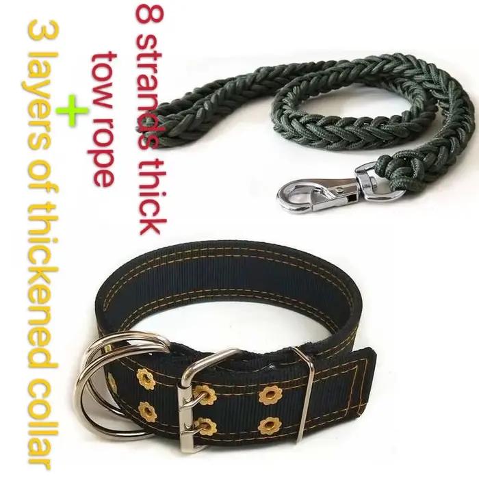 Collier de chien SFP pour grand chien
