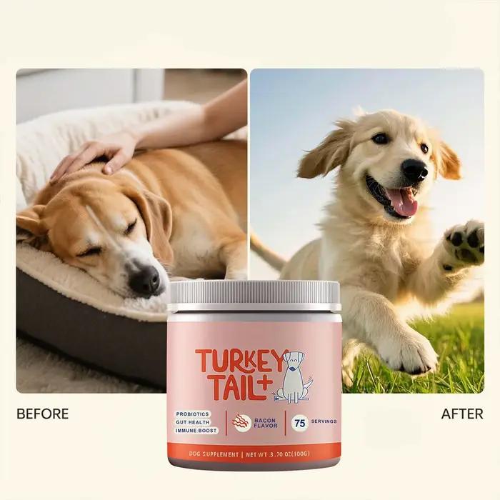 Poudre Probiotique Canine Soutien Santé Intestinale Amélioration du Bien-être Digestif Renforce la Défense Corporelle Améliore la Vitalité de l'Animal de Compagnie Soin Quotidien 100g