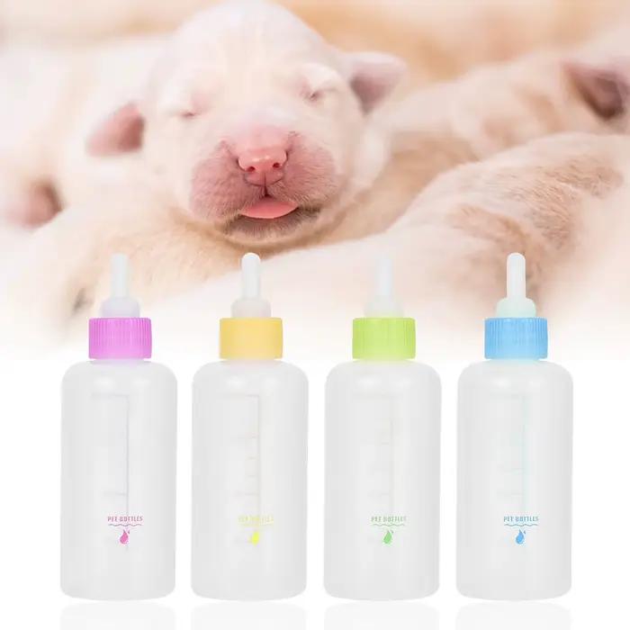Ensemble de biberons pour animaux de compagnie