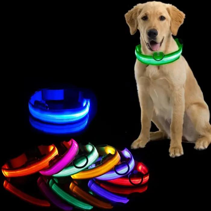 Collier Anti-perte pour chien