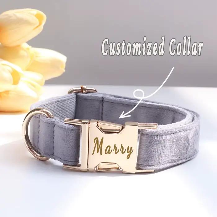Ensemble d'arc de collier de chien personnalisé
