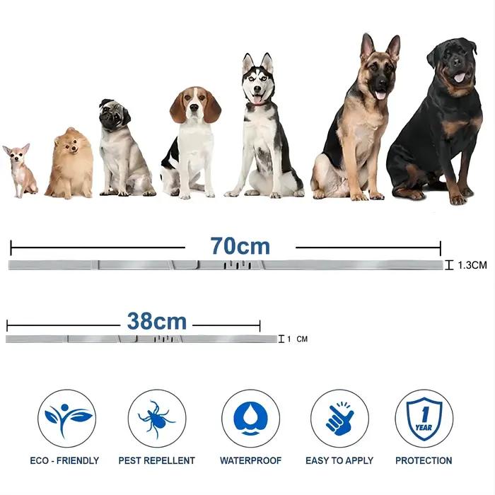 VIP livraison directe collier de chien chiot chat 70 cm 38 cm pour petits chiens chats
