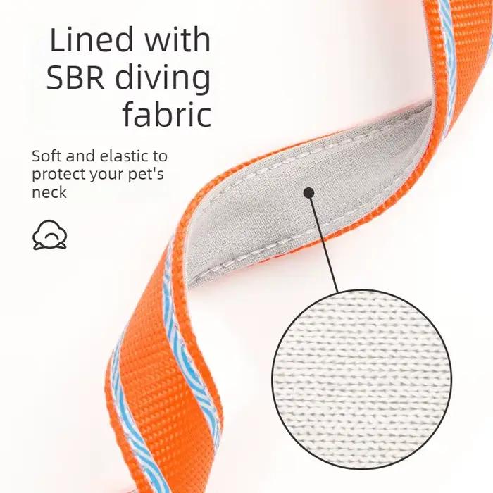 Collier anti-évasion réglable pour animaux de compagnie avec boucle pour la promenade en extérieur