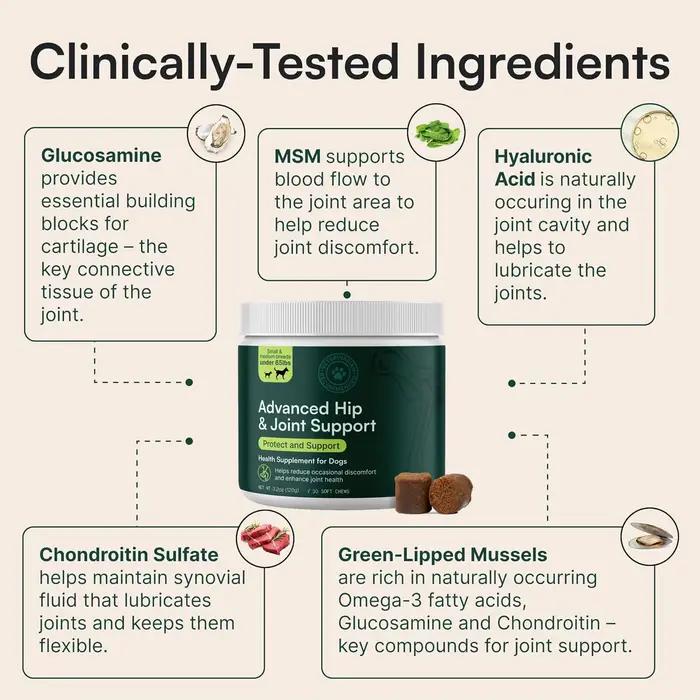 Complément avancé pour les hanches et les articulations des chiens avec glucosamine