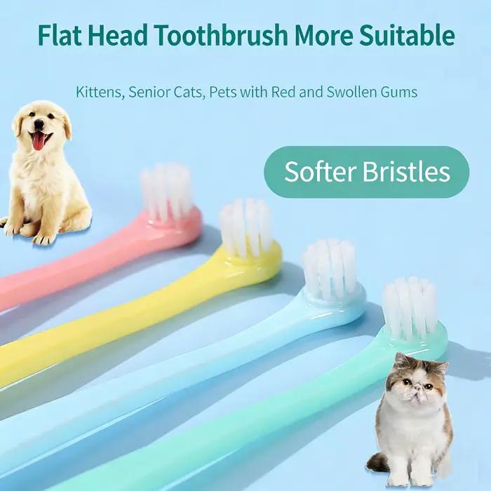 Brosse à dents pour animaux de compagnie