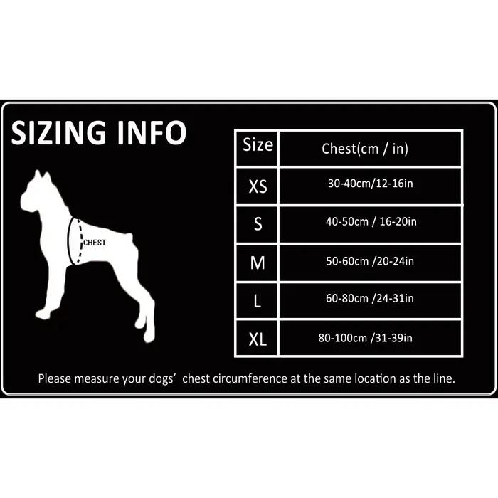 Nylon SFP Double-H personnalisé pour chien
