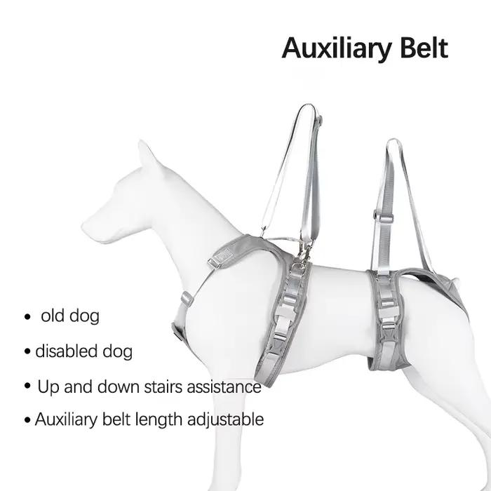 Ceinture auxiliaire pour chien handicapé
