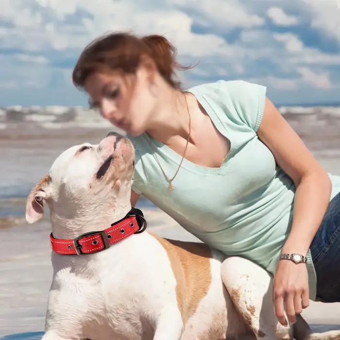 Collier pour chien rayé réfléchissant