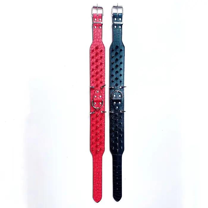 Collier pour chien de grande et moyenne taille