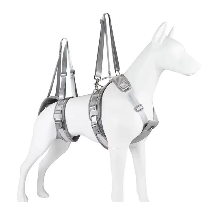 Ceinture auxiliaire pour chien handicapé