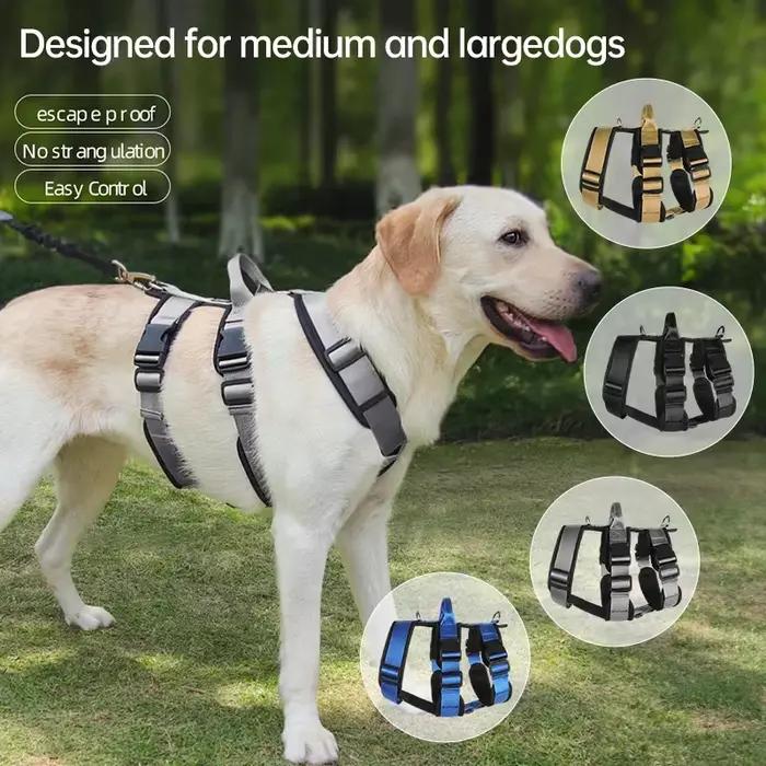 Harnais pour chien
