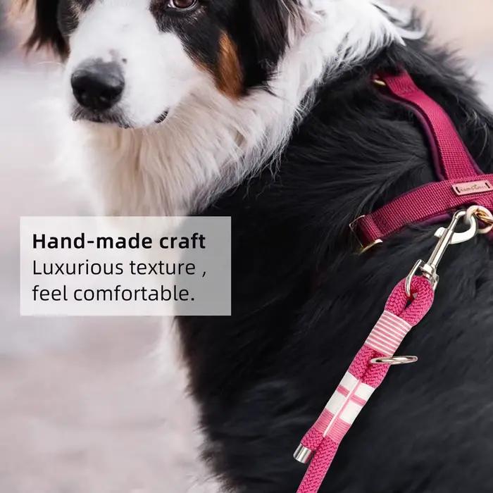 Laisse de chien multifonctionnelle courte et longue