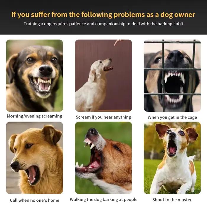 Colliers de formation pour chiens de compagnie