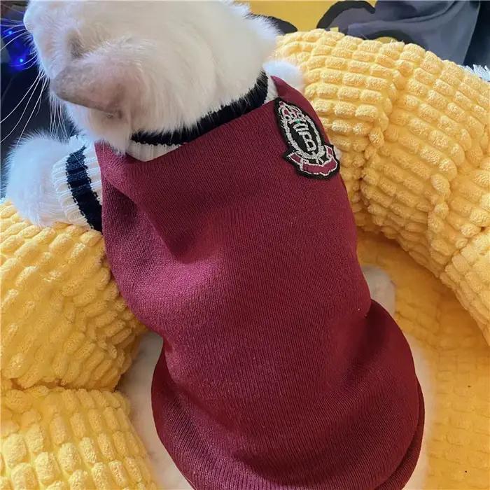 Pull tricoté pour chien de compagnie