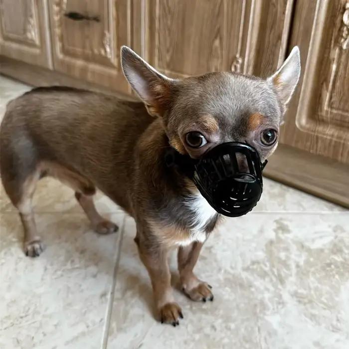 Muselière Anti-aboiement pour chien de compagnie