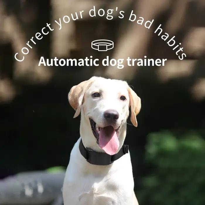 Colliers de formation pour chiens de compagnie
