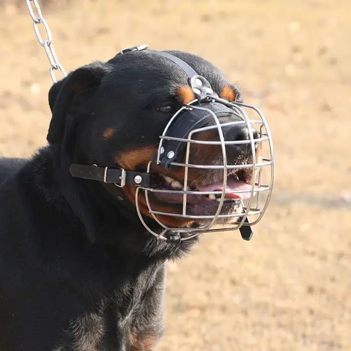 Muselières pour chiens pour empêcher de mordre