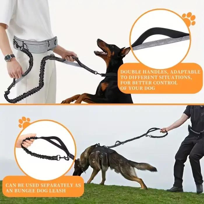 Laisse pour chien mains libres avec sac banane de course