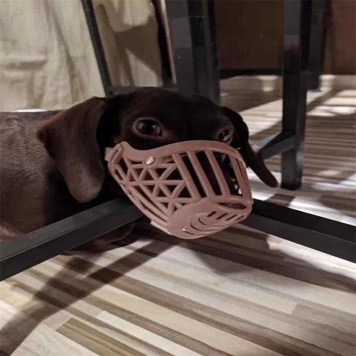 Muselière Anti-aboiement pour chien de compagnie