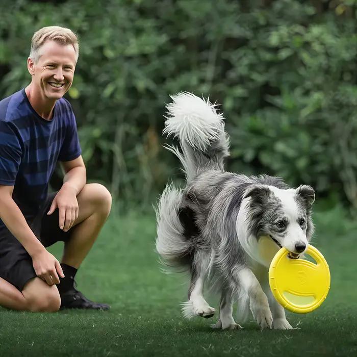 Disque durable pour chien