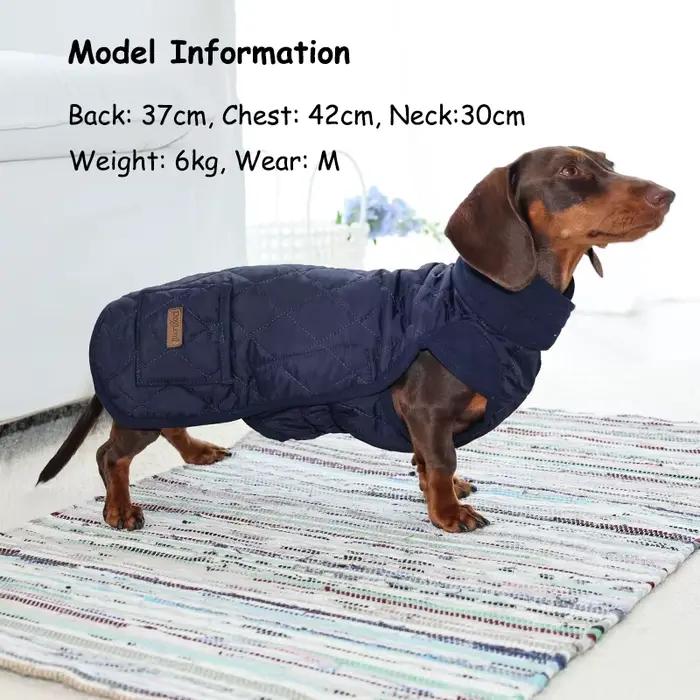 Manteau d'hiver pour chien