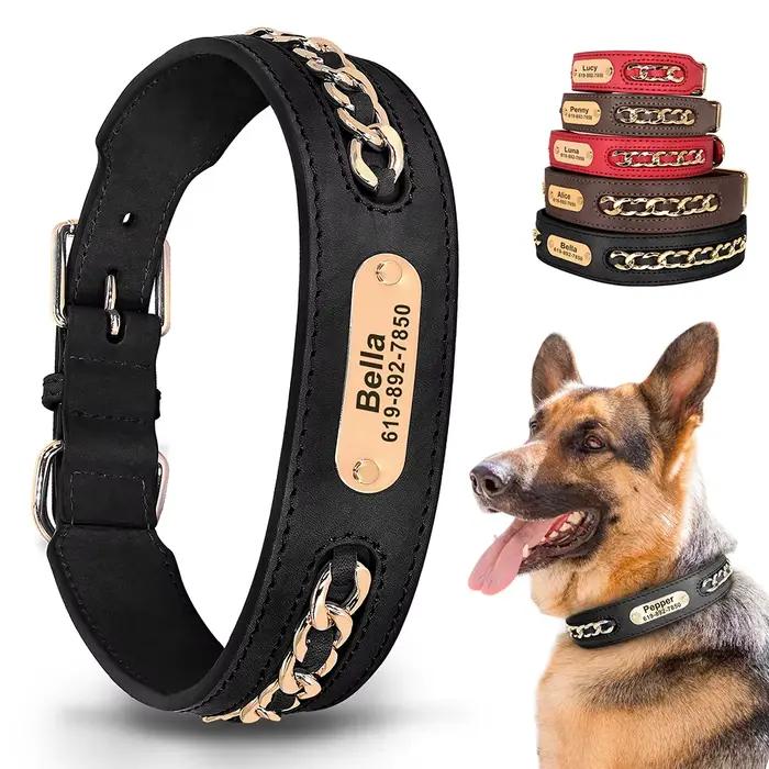 Collier de chien personnalisé