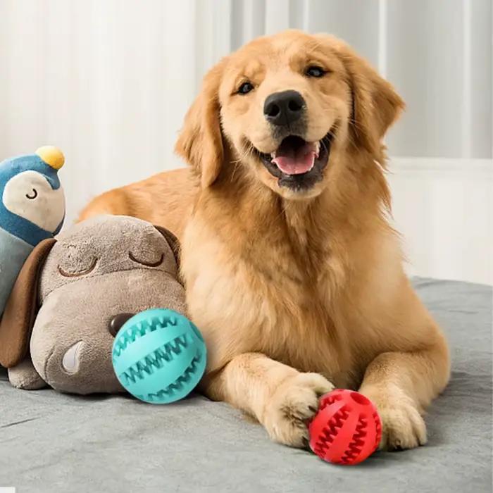 Balle de jeu pour chien