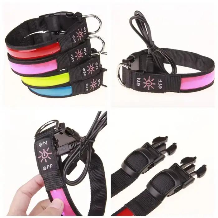 Collier lumineux LED pour chien