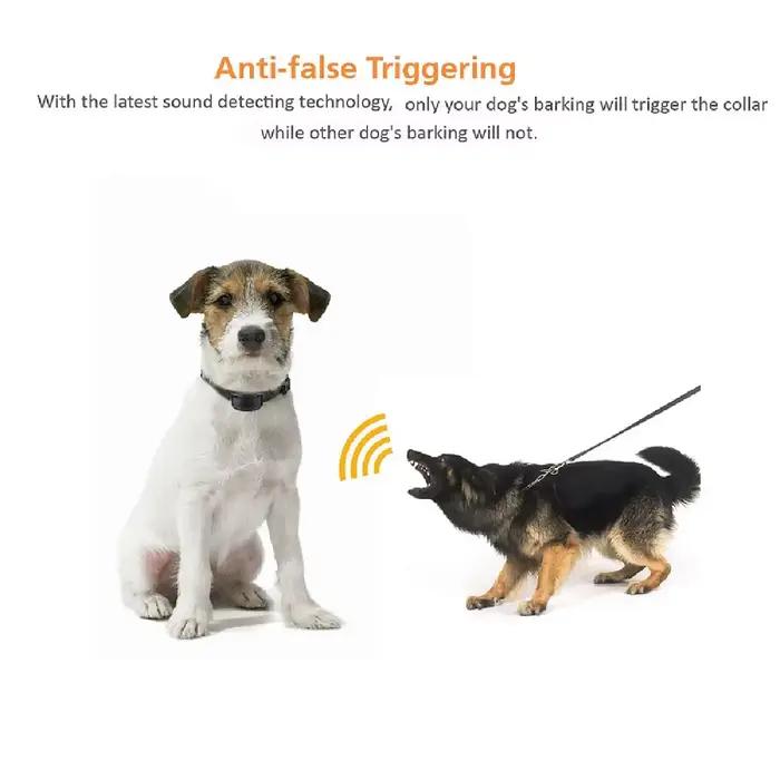 Collier anti-aboiement pour chiens