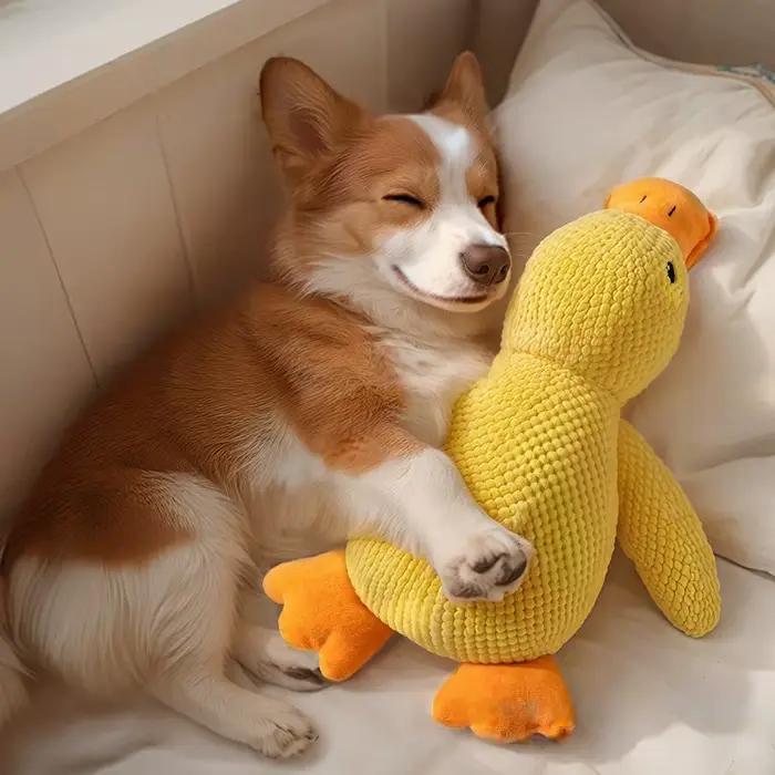 Jouet pour chien en peluche résistant aux morsures