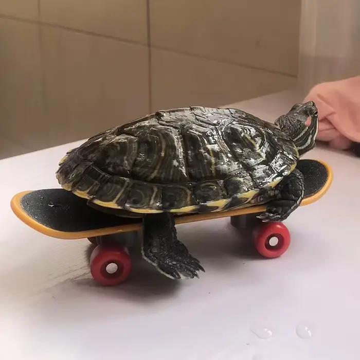 Jouet pour animaux de compagnie : Mini-trotinette