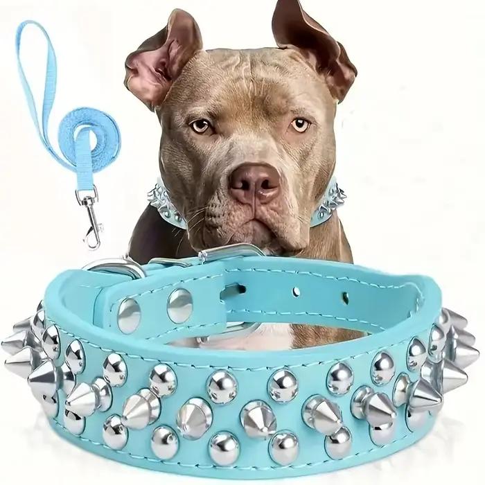 Ensemble collier et laisse pour chien à pointes