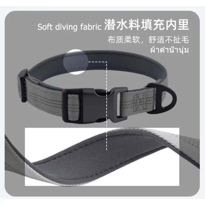 Collier personnalisé avec nom d'animal de compagnie