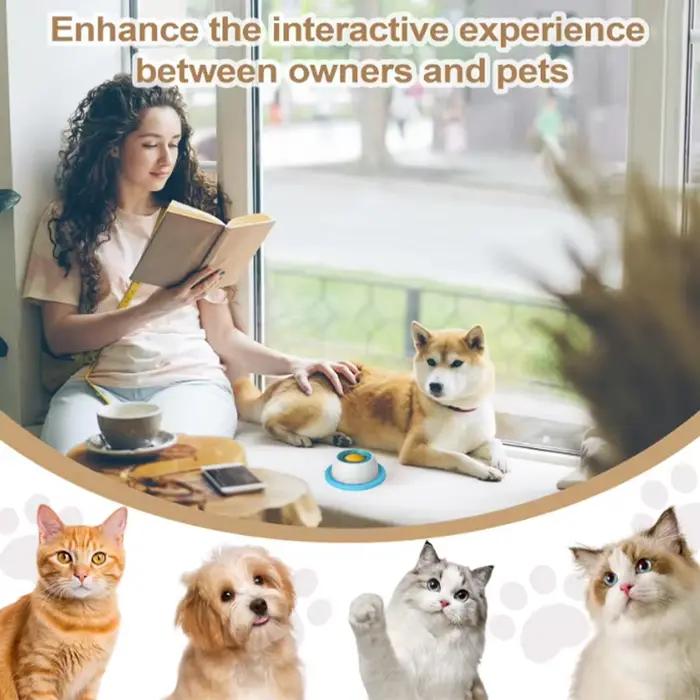 Nouveaux articles pour chiens : Jouets anti-renversement pour animaux de compagnie