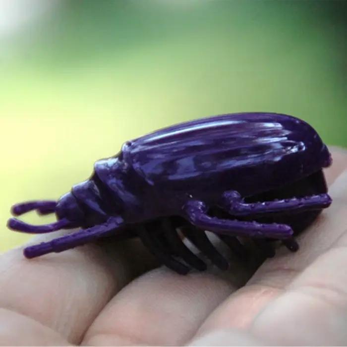 Jouet de simulation d'insecte pour animaux de compagnie