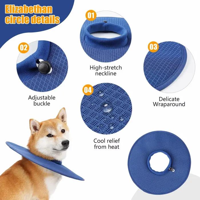 Collier de Récupération pour Chien après Chirurgie