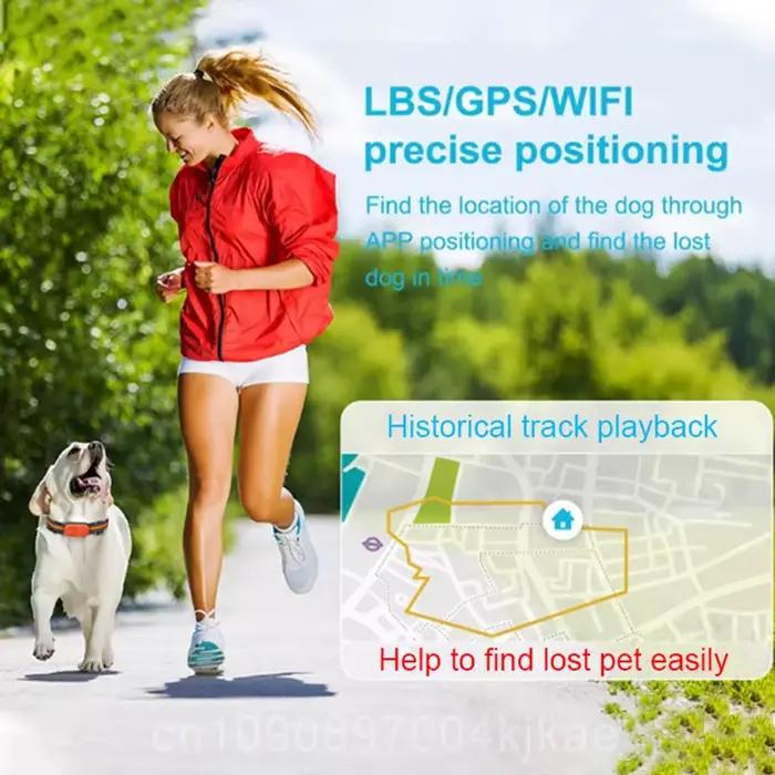 EN STOCK - Collier GPS 4G étanche pour animaux de compagnie - Anti-vol - Anti-perte pour chien et chat - Avec
