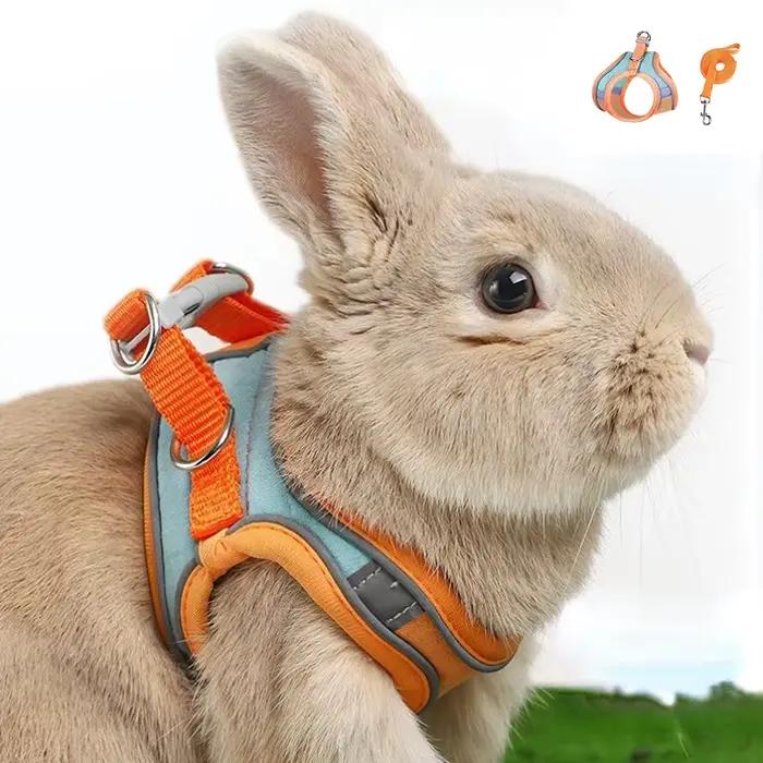 Ensemble harnais et laisse de lapin réglables