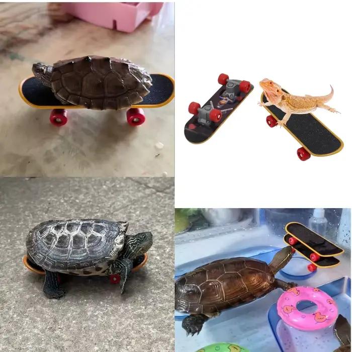 Jouet pour animaux de compagnie : Mini-trotinette