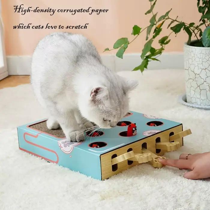 Boîte de jeu interactive 3-en-1 pour chaton d'intérieur : Jouet Whack-A-Mole